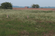 images/album1/f.jpg